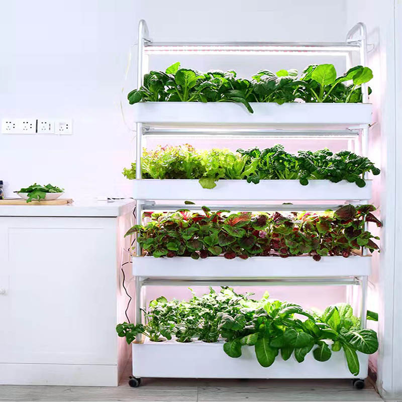 ydroponic plantsysteem Smart H - Home Automation Diy recensie en prijs