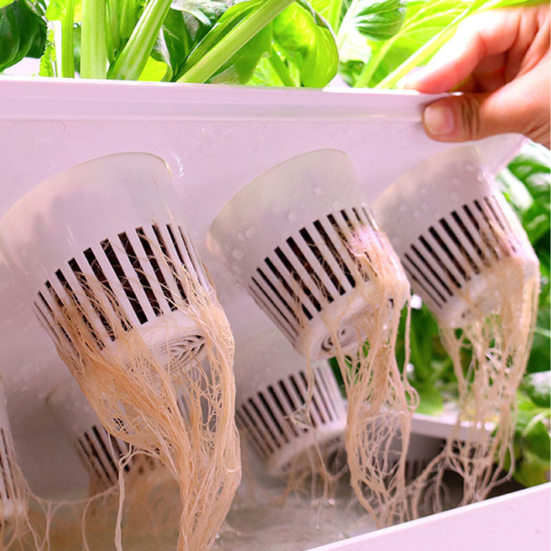 ydroponic plantsysteem Smart H - Home Automation Diy recensie en prijs