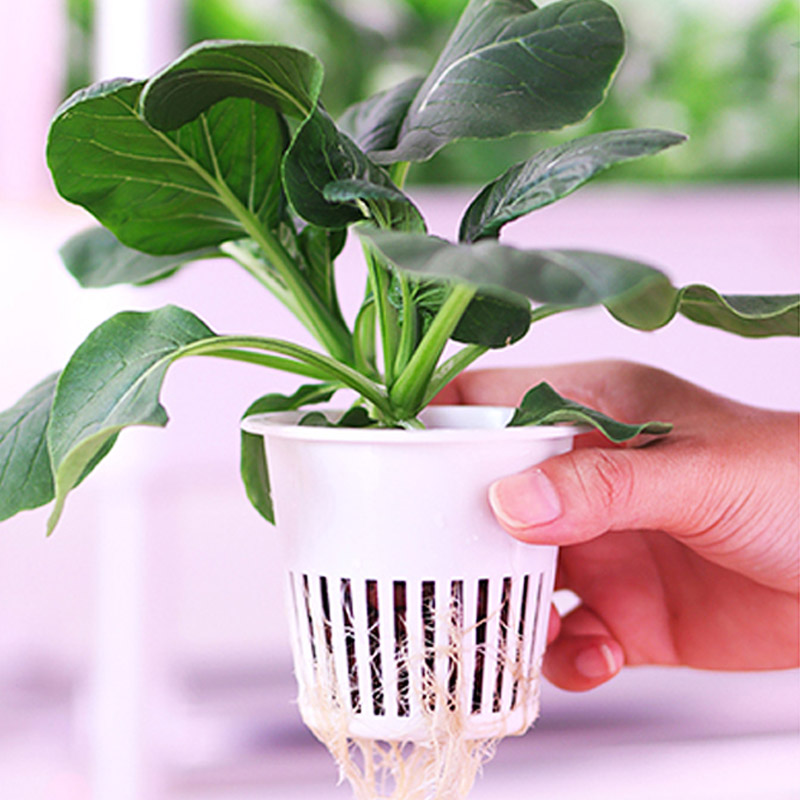 ydroponic plantsysteem Smart H - Home Automation Diy recensie en prijs